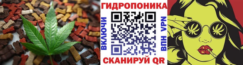мориарти как зайти  Заинск  Canna-Cookies конопля 