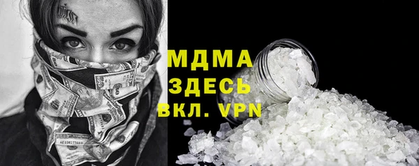 шишки Новодвинск