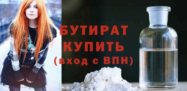 шишки Новодвинск