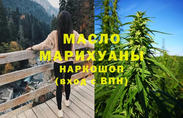 индика Новозыбков