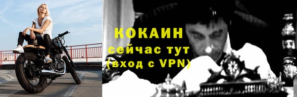 индика Новозыбков