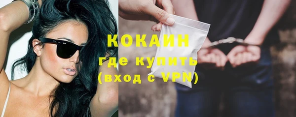 индика Новозыбков