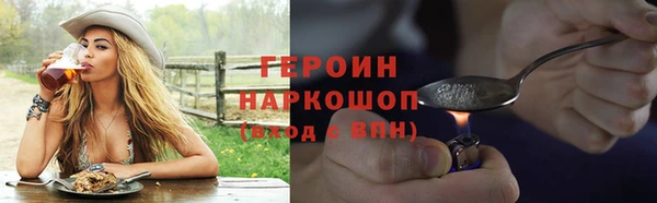 индика Новозыбков