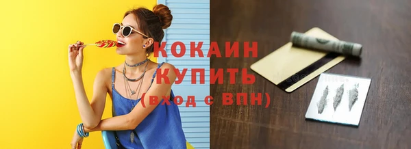 шишки Новодвинск