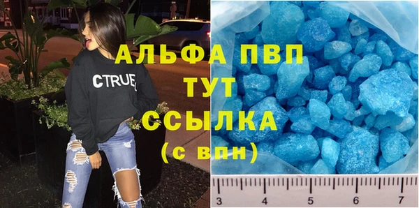 шишки Новодвинск