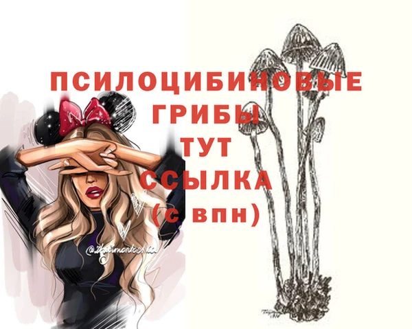 шишки Новодвинск