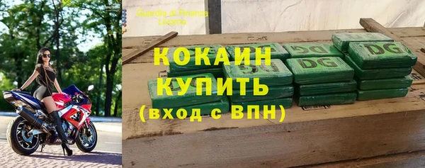 индика Новозыбков