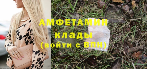 шишки Новодвинск