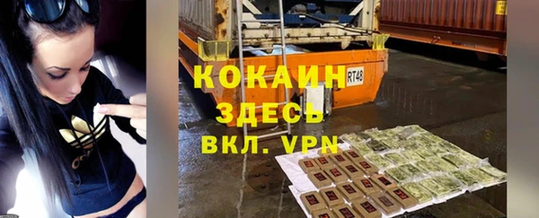 индика Новозыбков