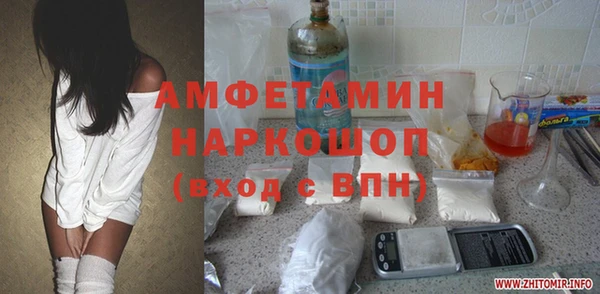 индика Новозыбков