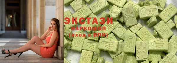 индика Новозыбков