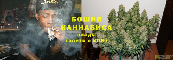 индика Новозыбков
