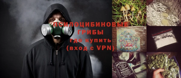 индика Новозыбков