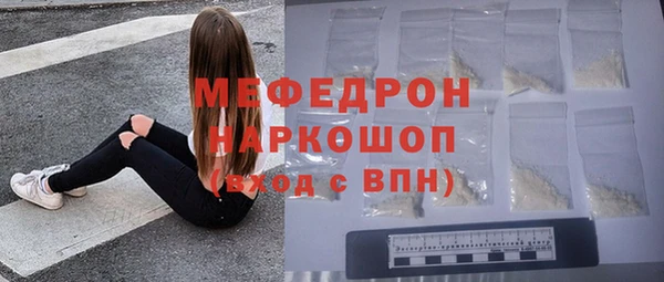 шишки Новодвинск
